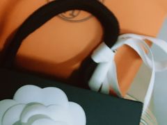 -HERMES(恒隆广场店)