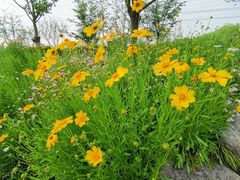 -长田漾湿地公园