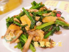 -权记避风塘(鸿记店)
