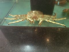 -和乐喜宴海鲜酒家(骏荣广场店)