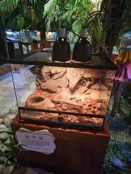 -酷嗒动物文化乐园(cutezoo西溪乐天城店)