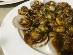 蚝油扇贝-华春餐馆(鱼山路店)