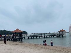 -东郊椰林