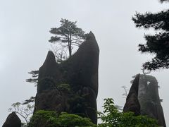 -黄山风景区