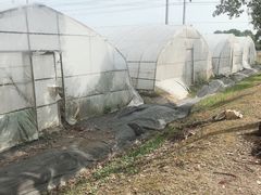 -上海多利农业发展有限公司