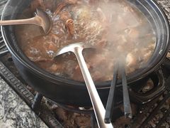 -蘑统田下·野生菌火锅