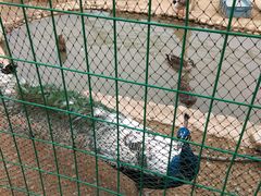 -武汉紫薇都市田园