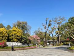 -云溪植物园