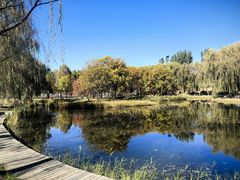 -圣露庄园·露营·烤肉·亲子