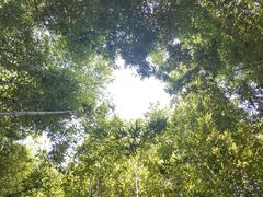 -泰山风景名胜区-普照寺