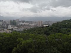 -金鸡山公园