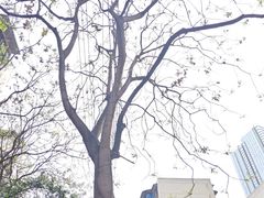 -宜家家居(高新商场店)