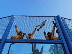 -大连森林动物园