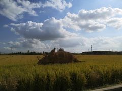 -嘉北郊野公园