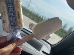 -玉龙沙湖景区