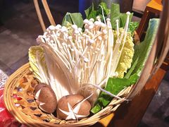 -同仁四季椰子鸡(海岸城天利店)