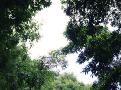 -白石龙音乐公园
