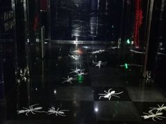 -百威KTV(恒福路店)