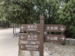-北京鹫峰国家森林公园