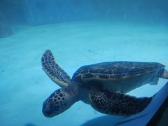 -常州海昌海洋探索馆