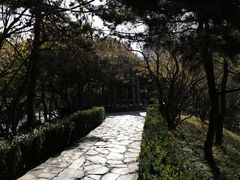 -团结湖公园