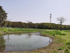 -嘉北郊野公园