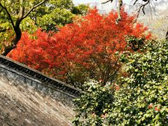 -青岛崂山太清宫