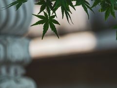 -静安寺