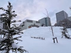 -大通公园