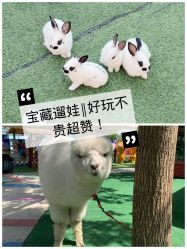 -萌宠亲子动物乐园(槐房万达店)