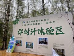 -汤旺河林海奇石景区