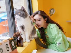 -22cafe