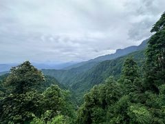 -瓦屋山景区