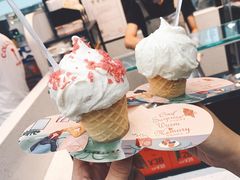 桃花-野人先生现做冰淇淋(西安赛格店)