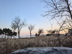 -青岛海泉湾度假区温泉