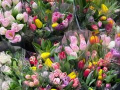 -循礼门鲜花花市(武汉循礼门店)