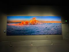 -罗红摄影艺术馆