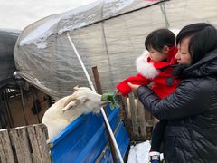 -小鱼草莓采摘园农家乐·小鱼餐厅