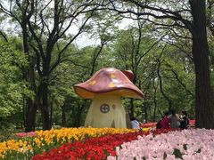 -沈阳植物园