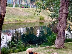 -筋骨堂热敷推拿按摩(九方购物广场店)