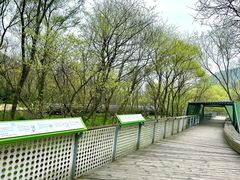 -西湖风景区-江洋畈生态公园