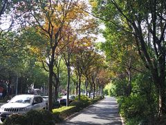 -新江湾城公园