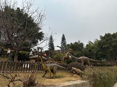 -自贡恐龙博物馆