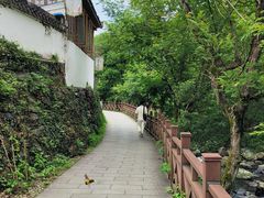 -石台牯牛降景区