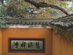 -普陀山慧济禅寺