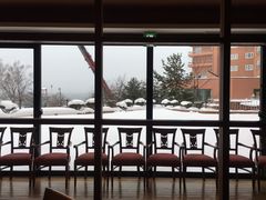 -洞爷湖万世阁酒店