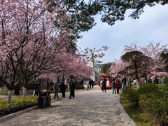 -南山植物园