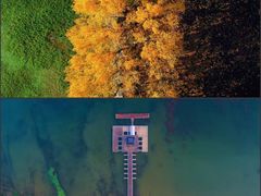 -泗洪洪泽湖湿地景区