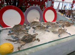 android_upload_pic-阳光五洲大酒店·宴会厅