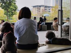 -SAANCI山池咖啡(海上世界文化艺术中心店)